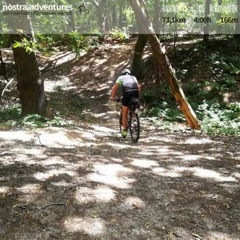 Mit MTB-Biker durch den Wald am Niederrhein in Geldern